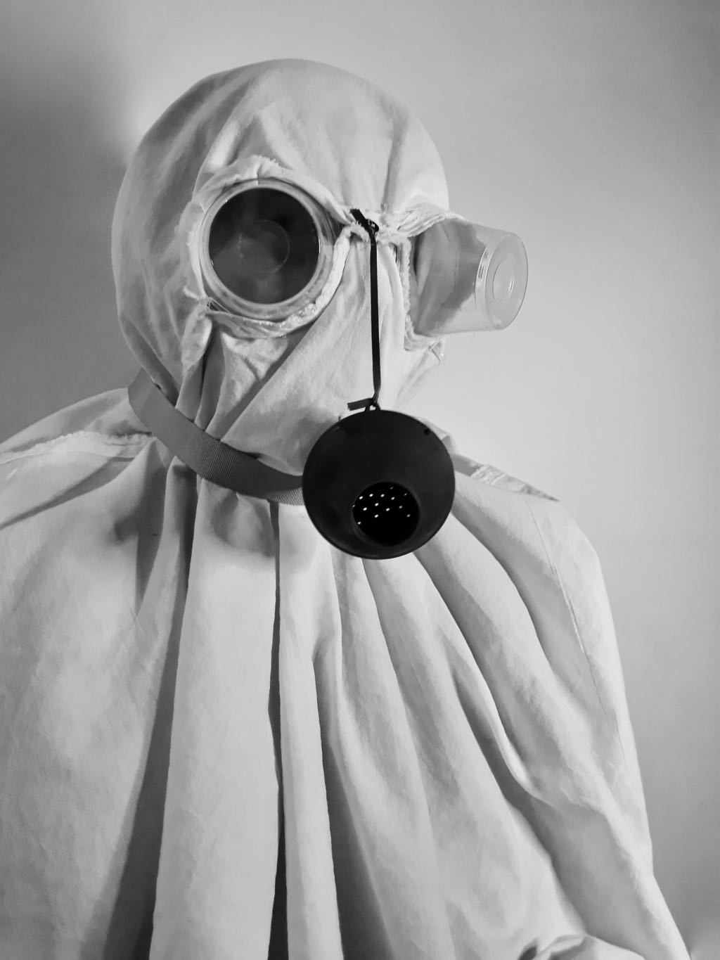 JuniaAzevedo_pestis_2020 h.jpg