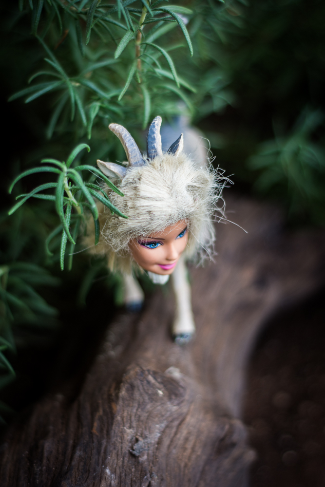 Sátiro (série Míticas) 2018, Júnia Azevedo. Foto: Diogo Calil.