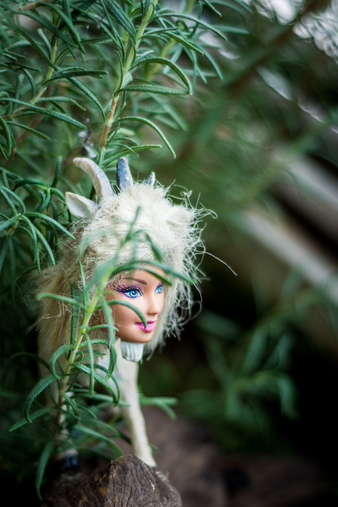 satiro_Júnia_foto Diogo Calil 4.jpg